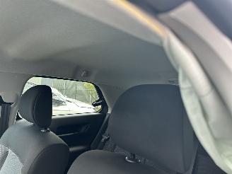 Citroën C4 cactus 1.2 PureTech Origins picture 14