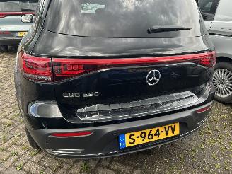 Mercedes EQB 250  Automaat Business line  67 kWh picture 10