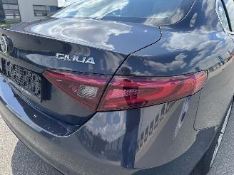 Alfa Romeo Giulia SUPER 2.2 JTDM NAVI LEDER XENON VOLL picture 18