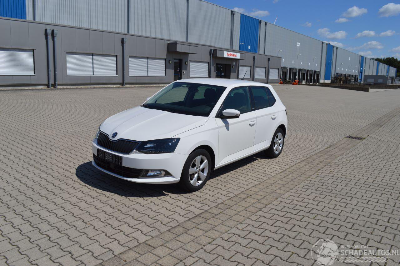 Skoda Fabia 1.2 TSI 66 KW JOY KLIMA RADAR SHZ PDC