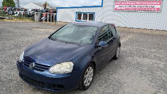 Coche siniestrado Volkswagen Golf 1.9 TDI 2006/1