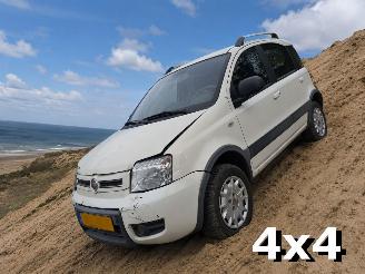 Schadeauto Fiat Panda 1.2 Climbing 4x4 2010/4