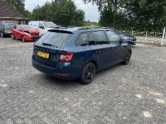 Skoda Fabia 1.0 tsi picture 5