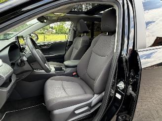 Toyota Rav-4 2.5 Hybrid / 131 KW / Panorama dak picture 10