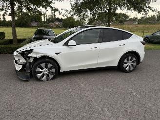 Damaged car Tesla Model Y RWD 58 kWh / Panorama 2023/10