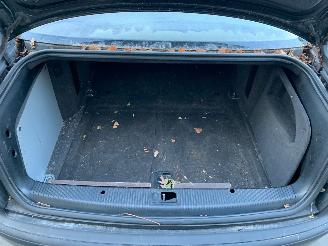 Audi A8 4.2 TDI picture 16