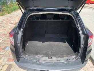 Renault Mégane  picture 15