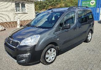  Peugeot   2017/5