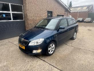 damaged passenger cars Skoda Fabia  2012/1