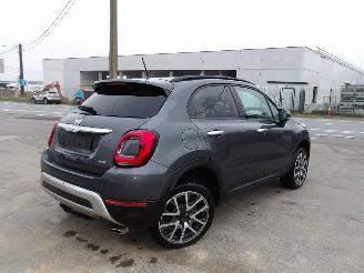 Fiat 500X  picture 6