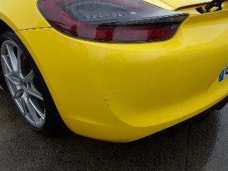 Porsche Cayman GTS picture 11
