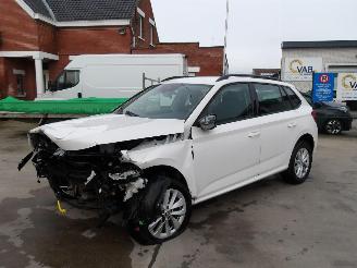 Skoda Kamiq  picture 8