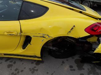 Porsche Cayman  picture 15