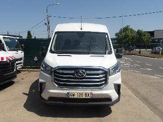 Maxus Deliver9  picture 3