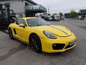 Schadeauto Porsche Cayman  2013/1