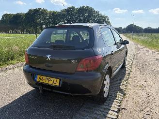 Peugeot 307 1.6-16V NAVTECH picture 17