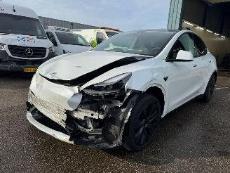 Damaged car Tesla Model Y Long Range RWD 75 kWh BJ 2024 2024/12
