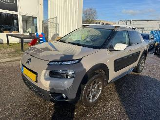 Avarii autoturisme Citroën C4 cactus 1.2 PureTech Shine BJ 2015 160.986 KM 2015/11