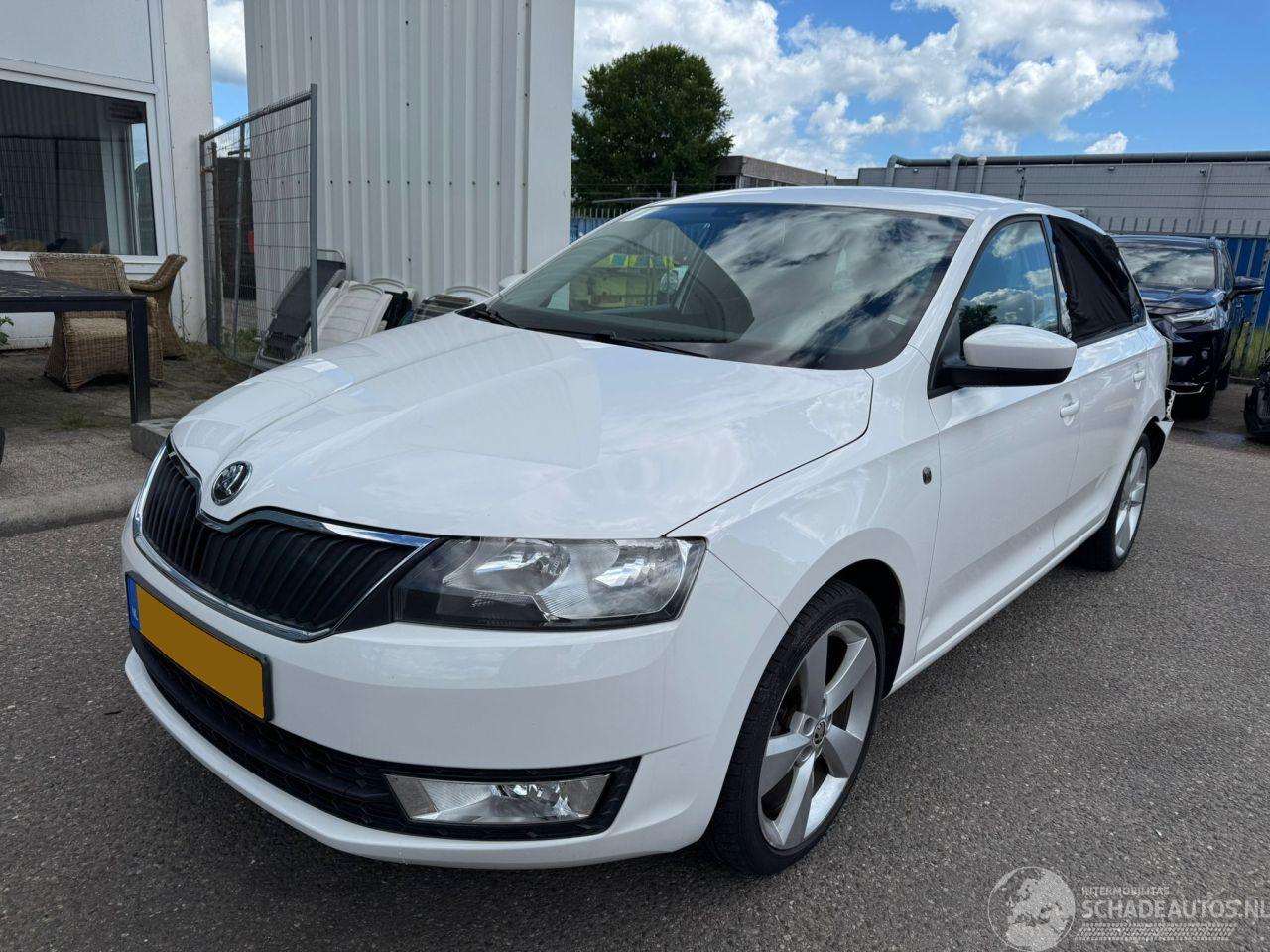 Skoda Rapid Spaceback 1.2 TSI Greentech Elegance Businessline Pro
