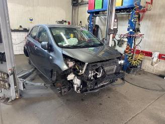 Coche siniestrado Kia Picanto Picanto (JA), Hatchback, 2017 1.0 DPI 12V 2023/8