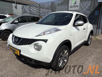 Nissan Juke Juke (F15), SUV, 2010 / 2019 1.6 16V picture 1