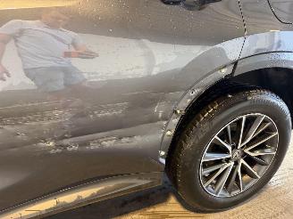 Lexus NX 450h+ AWD Luxury Line NAP! picture 13