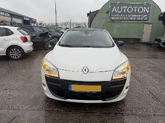 Renault Mégane Coupe 1.4 TCE 96KW Bose Pano Clima Navi NAP picture 2