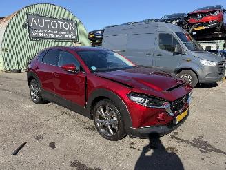 Vaurioauto  passenger cars Mazda CX-30 2.0 e-SkyActiv-X Autom. 137KW M Hybrid Luxury Clima Navi Led NAP 2022/1