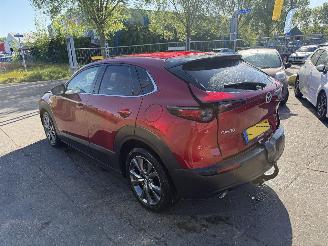 Mazda CX-30 2.0 e-SkyActiv-X Autom. 137KW M Hybrid Luxury Clima Navi Led NAP picture 3
