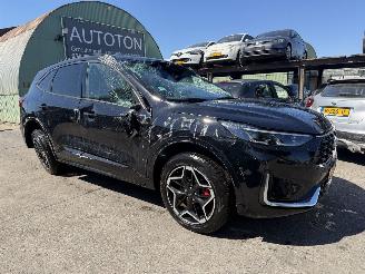 škoda osobní automobily Ford Kuga 2.5 PHEV 178KW Autom. ST-Line X Pano Clima Navi Camera Led NAP 2026/3