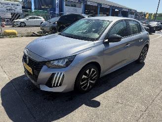 uszkodzony samochody osobowe Peugeot 208 1.2 55KW Active Navi Clima Led 5-Drs NAP 2024/8