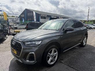 Avarii autoturisme Audi Q5 50 TFSI e S edition 195KW Autom. Clima Navi Camera Quattro NAP 2022/10