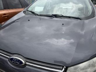 Ford EcoSport 1.0 Ecoboost 92KW Titanium Clima Camera NAP picture 16