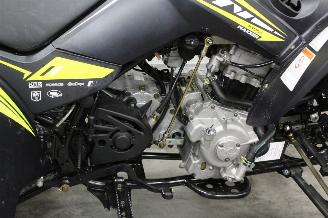 Kymco  Maxxer 300 Quad picture 3