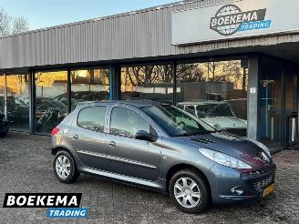 Auto incidentate Peugeot 206+ 1.4 XS 5-Deurs Airco Cruise 2009/6