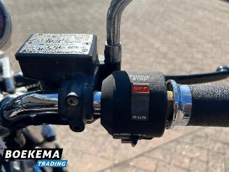 Honda VT 750 VT750C Shadow picture 10