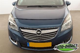 Opel Meriva 1.4 Turbo Clima Cosmo picture 32