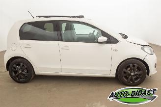 Skoda Citigo 1.0 Airco Open Pano Greentech Arctic Air picture 36