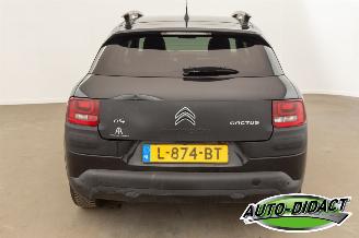 Citroën C4 cactus 1.6 BlueHDi Navi Clima Camera Business Plus picture 35