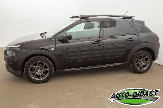 Citroën C4 cactus 1.6 BlueHDi Navi Clima Camera Business Plus picture 37