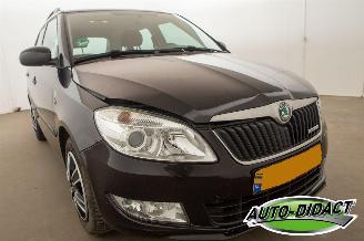 Skoda Fabia 1.2 TDI Greenline Airco picture 24