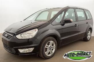 uszkodzony samochody osobowe Ford Galaxy 2.0 Clima Navi 7p Trendline 2013/9