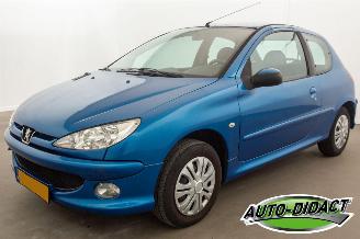 Auto incidentate Peugeot 206 1.4 Forever 2007/7