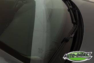 Volkswagen Golf 1.6 TDI Clima Navi Trendline picture 29