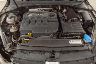 Volkswagen Golf 1.6 TDI Clima Navi Highline picture 41