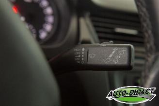 Skoda Rapid 1.6 TDI 77 kW Clima Navi Ambition picture 17
