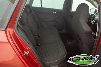 Skoda Rapid 1.6 TDI 77 kW Clima Navi Ambition picture 22