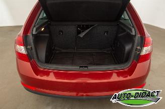 Skoda Rapid 1.6 TDI 77 kW Clima Navi Ambition picture 39