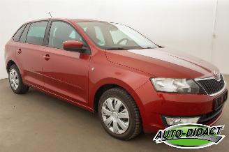 Skoda Rapid 1.6 TDI 77 kW Clima Navi Ambition picture 2