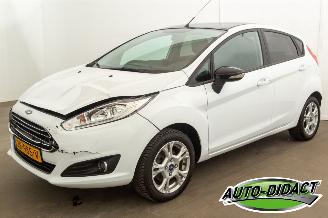 škoda osobní automobily Ford Fiesta 1.0 65kP 111.342 km Airco Navi White Edition 2016/5